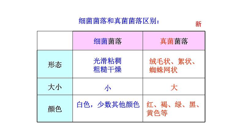 2.3.1微生物的分布  课件2024-2025学年人教版（2024）生物七年级上册07