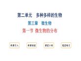 2.3.1微生物的分布课件2024-2025学年人教版（2024）生物七年级上册