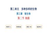 2.3.2细菌课件2024-2025学年人教版（2024）生物七年级上册