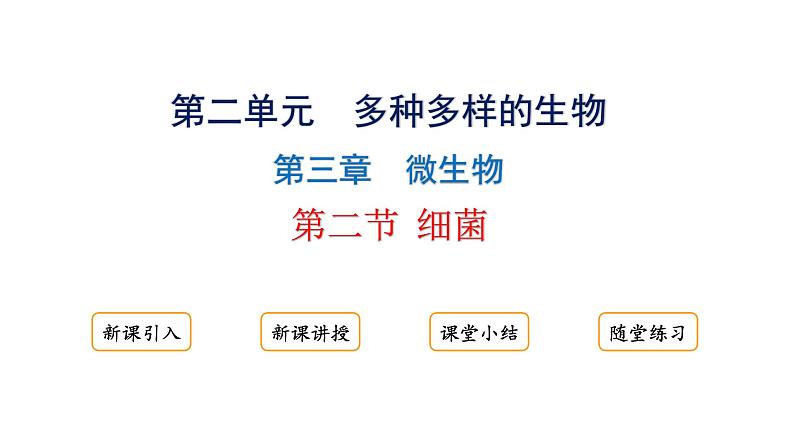 2.3.2细菌课件2024-2025学年人教版（2024）生物七年级上册01