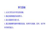 2.3.3 真菌  课件2024-2025学年人教版（2024）生物七年级上册