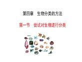 2.4.1尝试对生物进行分类  课件2024-2025学年人教版（2024）生物七年级上册