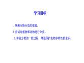 2.4.1尝试对生物进行分类  课件2024-2025学年人教版（2024）生物七年级上册