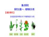 2.4.1尝试对生物进行分类  课件2024-2025学年人教版（2024）生物七年级上册