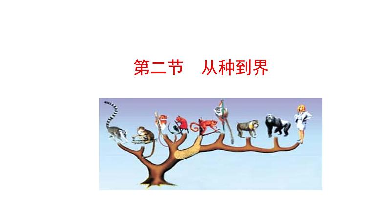 2.4.2从种到界  课件2024-2025学年人教版（2024）生物七年级上册01