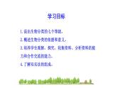 2.4.2从种到界  课件2024-2025学年人教版（2024）生物七年级上册