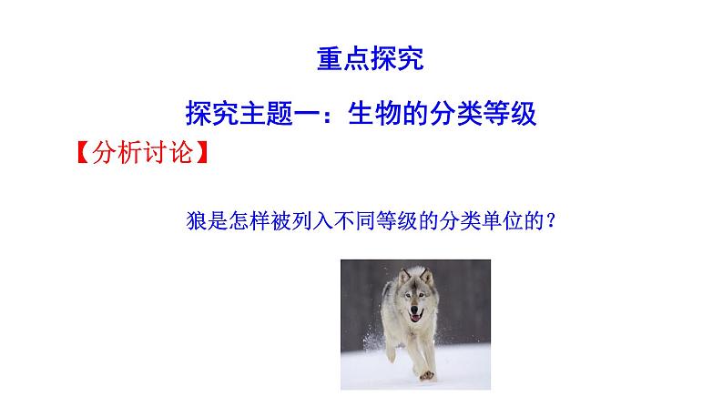 2.4.2从种到界  课件2024-2025学年人教版（2024）生物七年级上册04