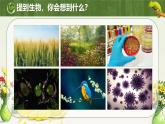 致同学们---生物开学第一课2024-2025学年人教版（2024）生物七年级上册课件