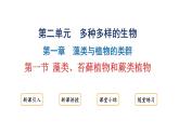 2.1.1藻类、苔藓植物和蕨类植物课件2024-2025学年人教版（2024）生物七年级上册