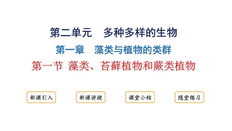 2.1.1藻类、苔藓植物和蕨类植物课件2024-2025学年人教版（2024）生物七年级上册01