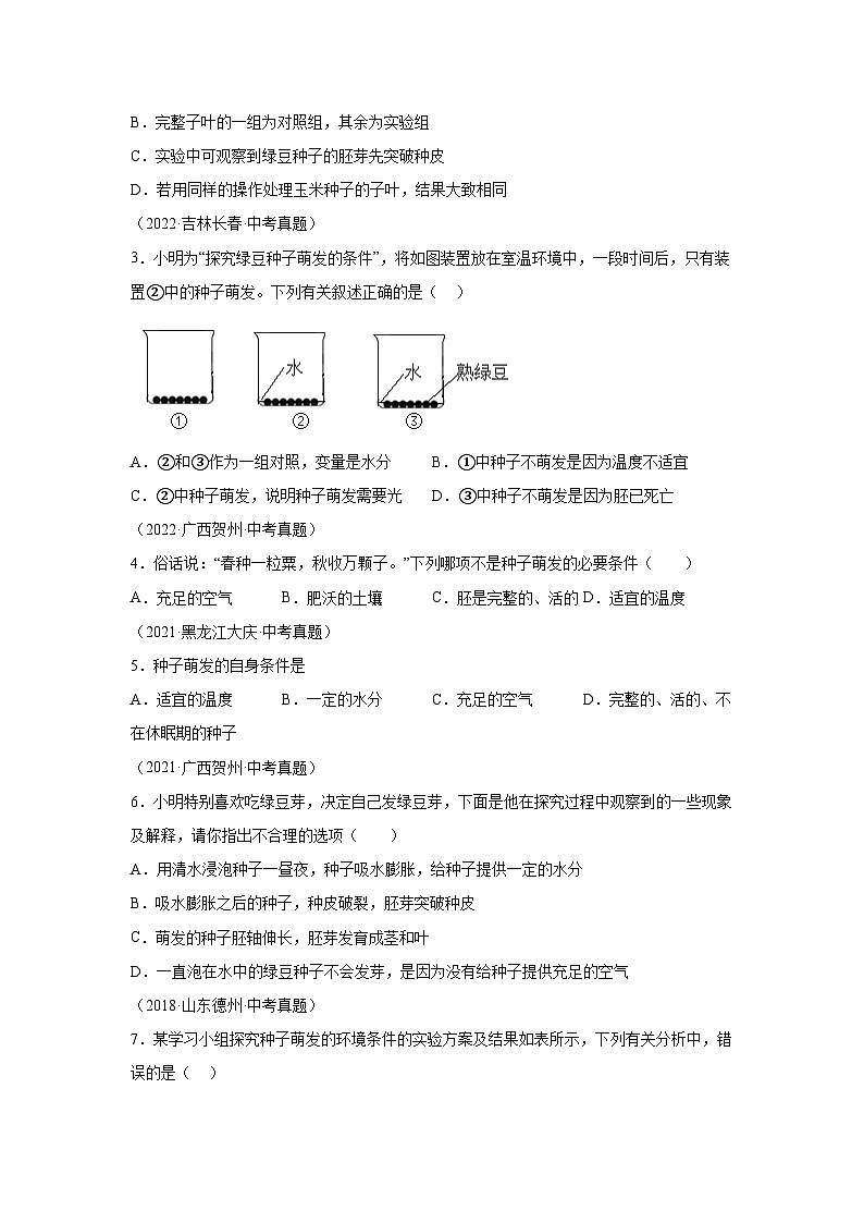 05 探究种子萌发的外界条件-七年级实验-2024-2025学年度初中生物微专题实验探索学案第3页