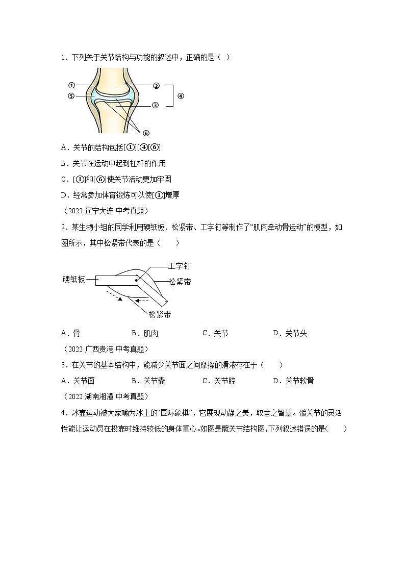 06 观察哺乳动物的关节、骨骼肌-八年级实验-2024-2025学年度初中生物微专题实验探索学案第2页