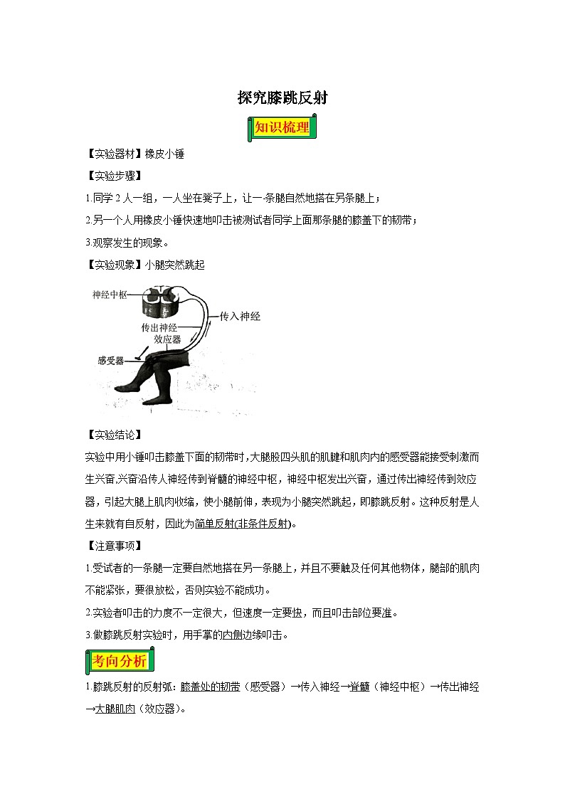 16 7.6.3探究膝跳反射-七年级实验-2024-2025学年度初中生物微专题实验探索学案第1页
