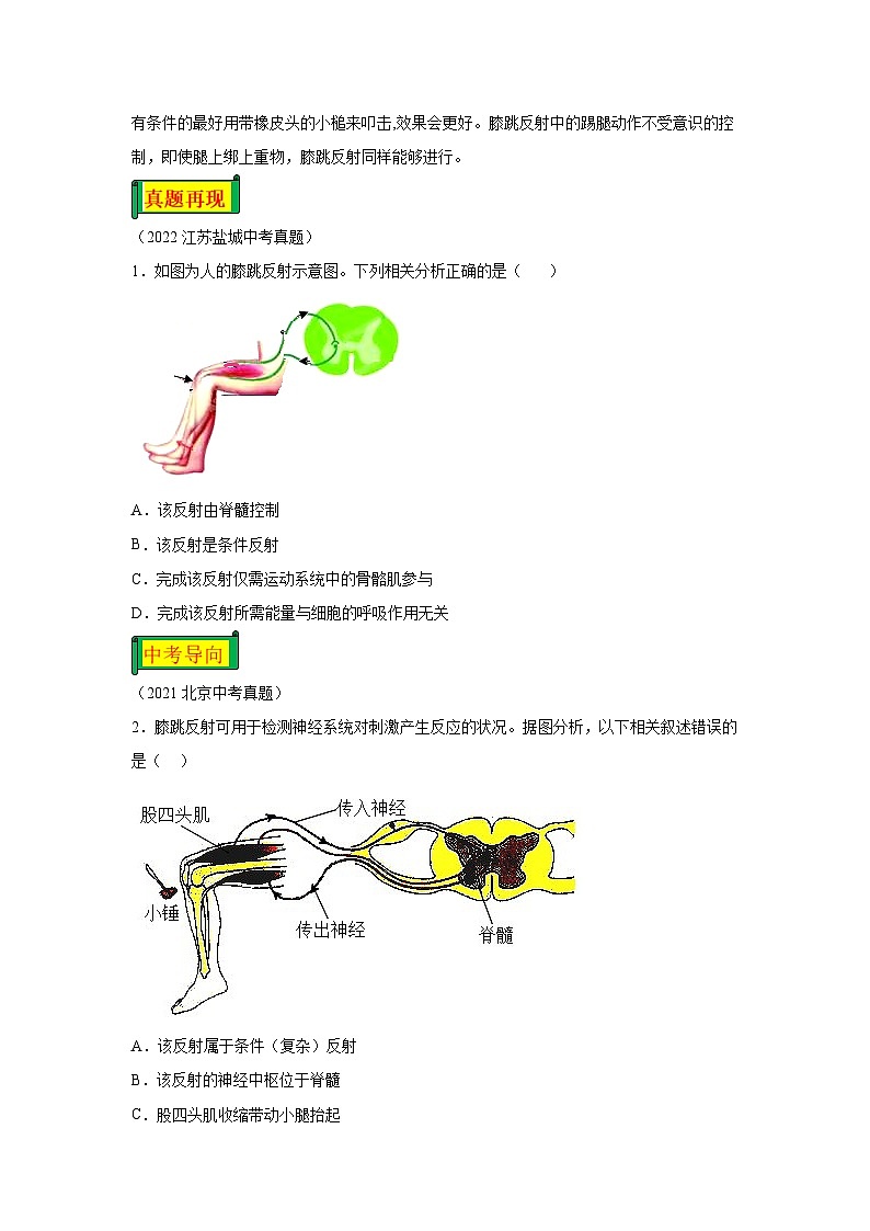 16 7.6.3探究膝跳反射-七年级实验-2024-2025学年度初中生物微专题实验探索学案第2页