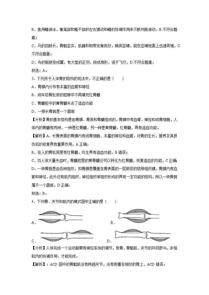 [生物]八年级上学期第一次月考卷(解析版)(贵州专用)第2页