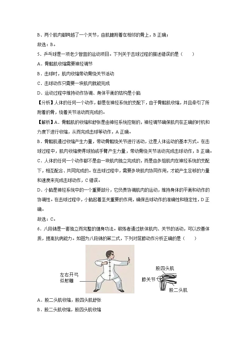 [生物]八年级上学期第一次月考卷(解析版)(贵州专用)第3页