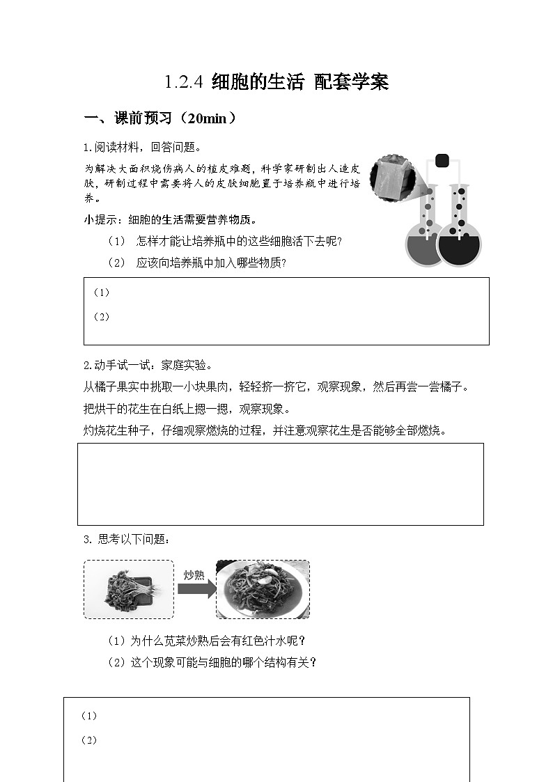 人教版（2024）初中生物学七年级上册1.2.4《细胞的生活》课件＋教案+学案+分层练习01
