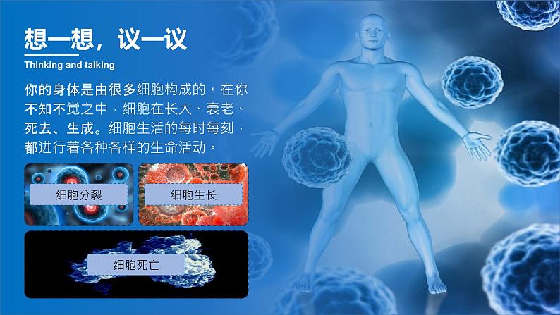 人教版（2024）初中生物学七年级上册1.2.4《细胞的生活》课件＋教案+学案+分层练习03