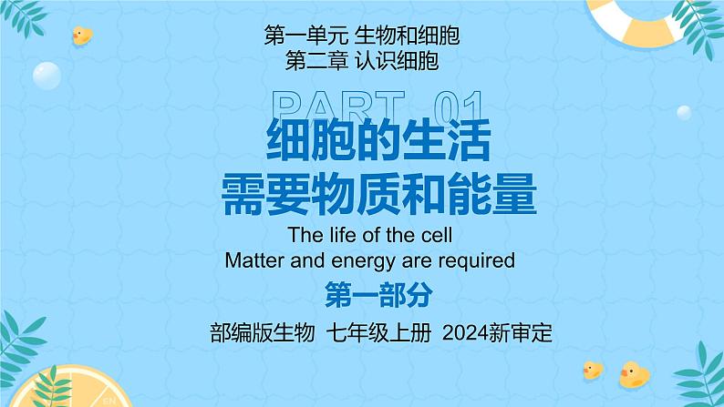 人教版（2024）初中生物学七年级上册1.2.4《细胞的生活》课件＋教案+学案+分层练习04