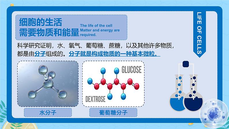 人教版（2024）初中生物学七年级上册1.2.4《细胞的生活》课件＋教案+学案+分层练习08