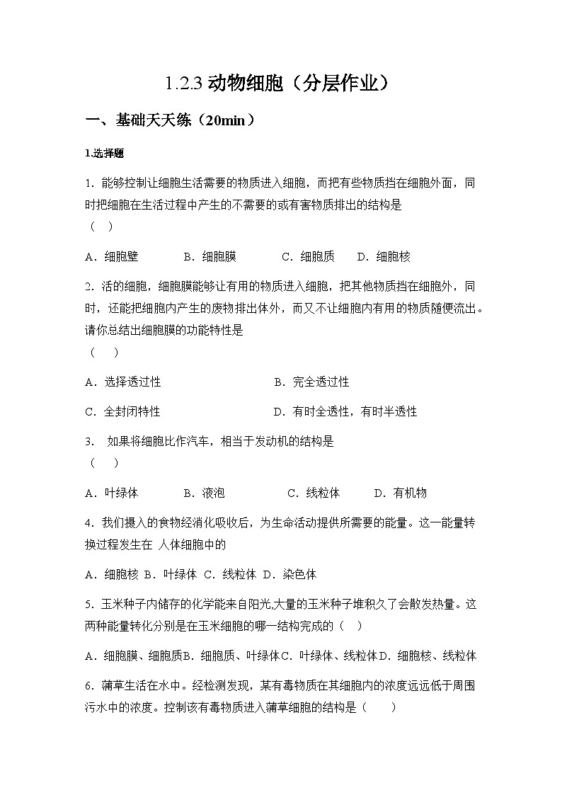 人教版（2024）初中生物学七年级上册1.2.4《细胞的生活》课件＋教案+学案+分层练习01