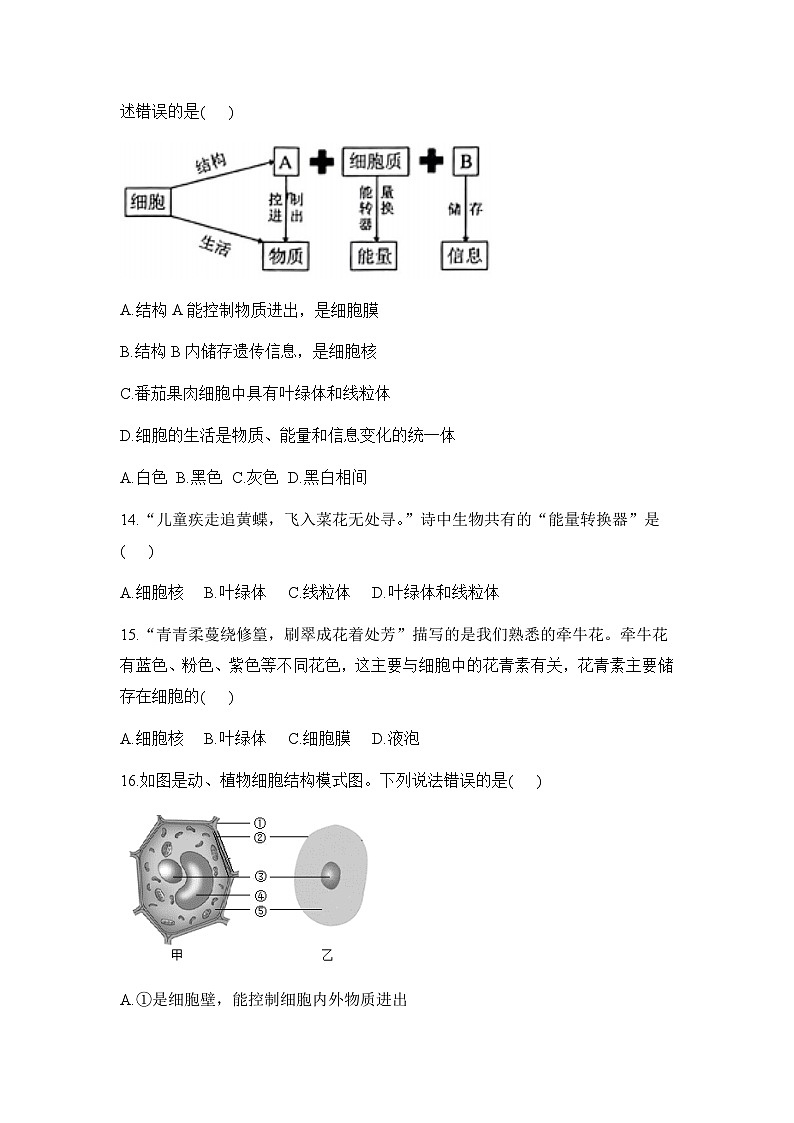 人教版（2024）初中生物学七年级上册1.2.4《细胞的生活》课件＋教案+学案+分层练习03