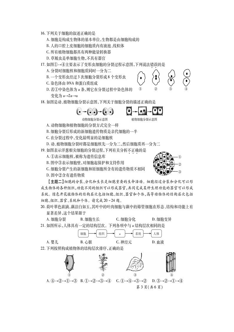 广东省佛山市顺德区杏联初级中学2024-2025学年七年级上学期9月考试生物试题卷第3页