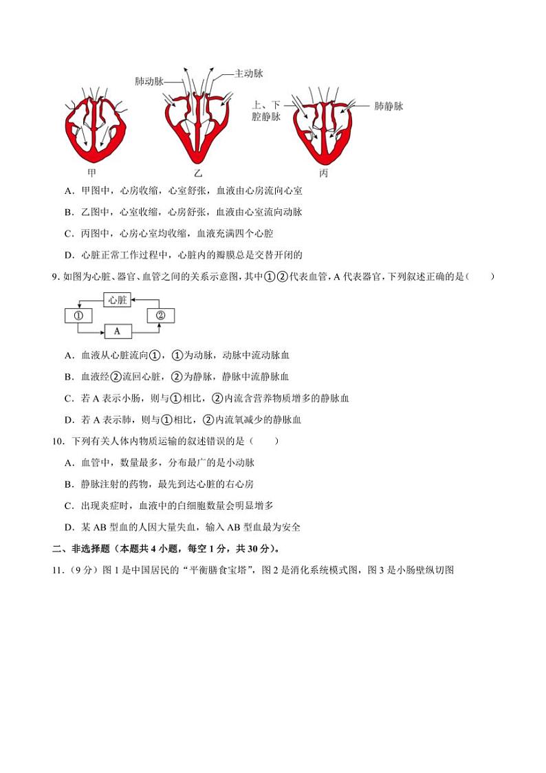 [生物][期中]湖北省荆门市沙洋县毛李中学教联体2023～2024学年七年级下学期期中考试试卷(有解析)03