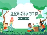 人教版（2024）生物七上：1.1.1观察周边环境中的生物（课件+教案）