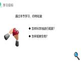 人教版（2024）生物七上：1.1.1观察周边环境中的生物（课件+教案）