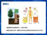 人教版（2024）生物七上：1.2.4细胞的生活（课件+教案）