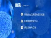 人教版（2024）生物七上：1.2.4细胞的生活（课件+教案）