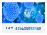 人教版（2024）生物七上：1.2.4细胞的生活（课件+教案）