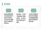 人教版（2024）生物七上：2.1.2种子植物（课件+教案）