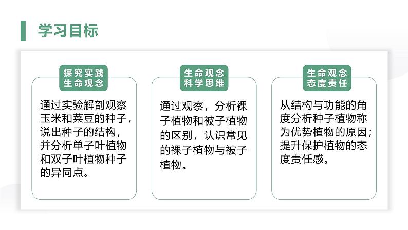 人教版（2024）生物七上：2.1.2种子植物（课件+教案）02