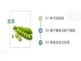 人教版（2024）生物七上：2.1.2种子植物（课件+教案）