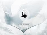 人教版（2024）生物七上：2.2.2-3鸟和哺乳动物（课件+教案）