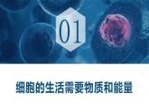 人教版（2024）七年级生物上册课件 1.2.4 细胞的生活