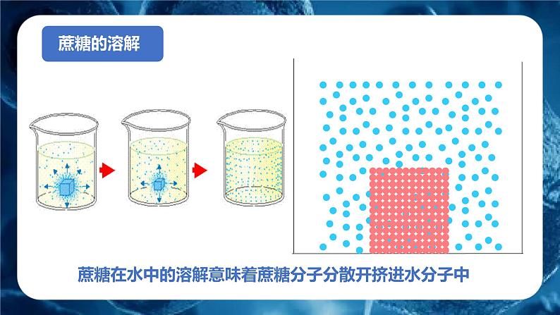 人教版（2024）七年级生物上册课件 1.2.4 细胞的生活07