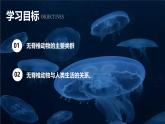 人教版（2024）七年级生物上册课件 2.2.1无脊椎动物