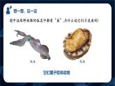 人教版（2024）七年级生物上册课件 2.2.1无脊椎动物