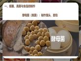 人教版（2024）七年级生物上册课件 综合实践项目