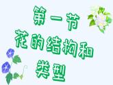 济南版生物八年级上册 第一章第一节 花的结构和类型课件