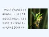 济南版生物八年级上册 第一章第一节 花的结构和类型课件