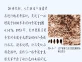 济南版生物八年级上册 第一章第四节 种子的萌发课件