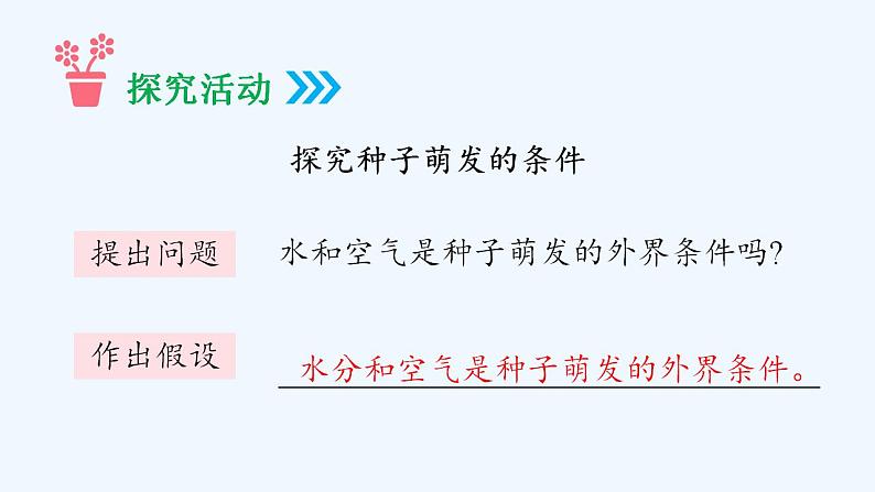 济南版生物八年级上册 第一章第四节 种子的萌发课件第7页