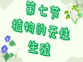 济南版生物八年级上册 第一章第七节 植物的无性生殖课件