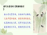 济南版生物八年级上册 第二章第三节 鸟的生殖和发育课件