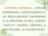 济南版生物八年级上册 第二章第三节 鸟的生殖和发育课件