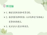 济南版生物八年级上册 第二章第三节 鸟的生殖和发育课件
